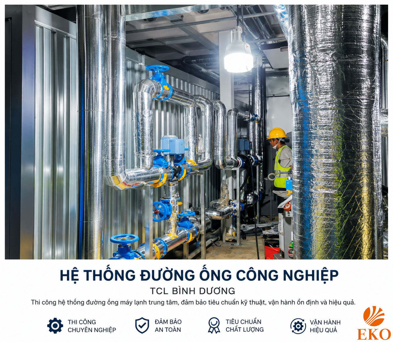 du an tai TCL